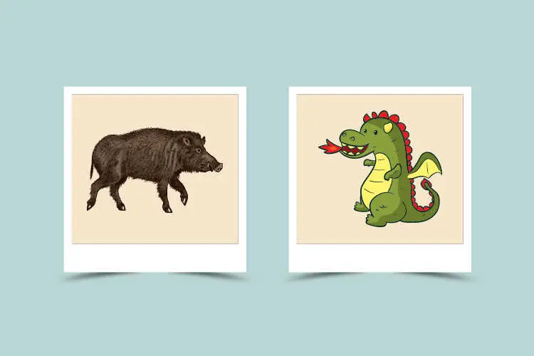 Understanding Dragon and Pig Compatibility： Key Traits for a Balanced Relationship