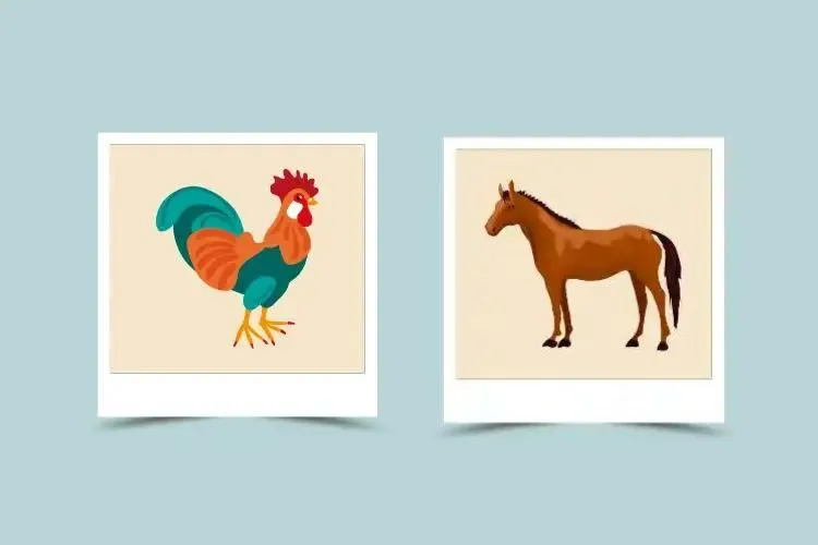 Exploring Horse Woman and Rooster Man Compatibility： Love, Challenges, and Balance