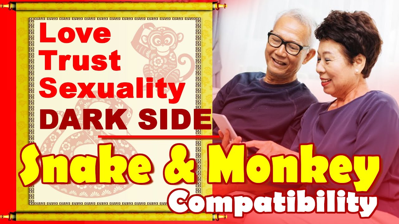 Snake Man and Monkey Woman Compatibility： Love and Challenges Explored