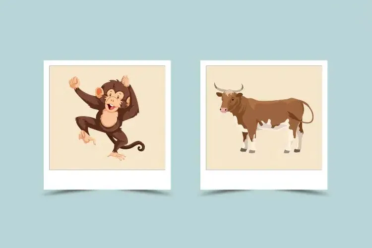 Female Ox and Male Monkey Compatibility: Love, Marriage, and Challenges