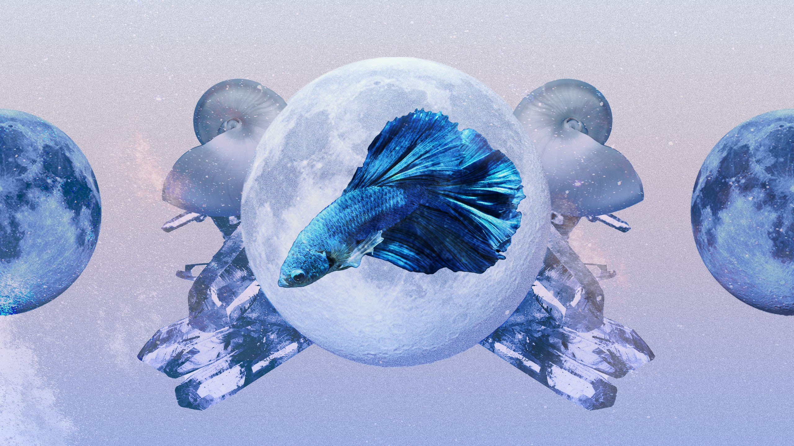 Pisces Free Will Astrology: What 2024 Holds for You