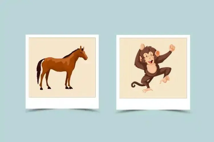 Exploring Horse and Monkey Compatibility in Chinese Zodiac Relationships